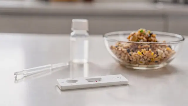 Gluten-Schnelltest auf einem Küchentisch mit Testkassette, Pipette und Probengefäß